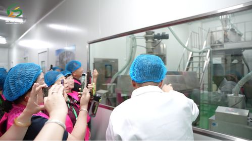 國糧農(nóng)業(yè)黑色雜糧粉 符合標(biāo)準(zhǔn)的合規(guī)健康食品